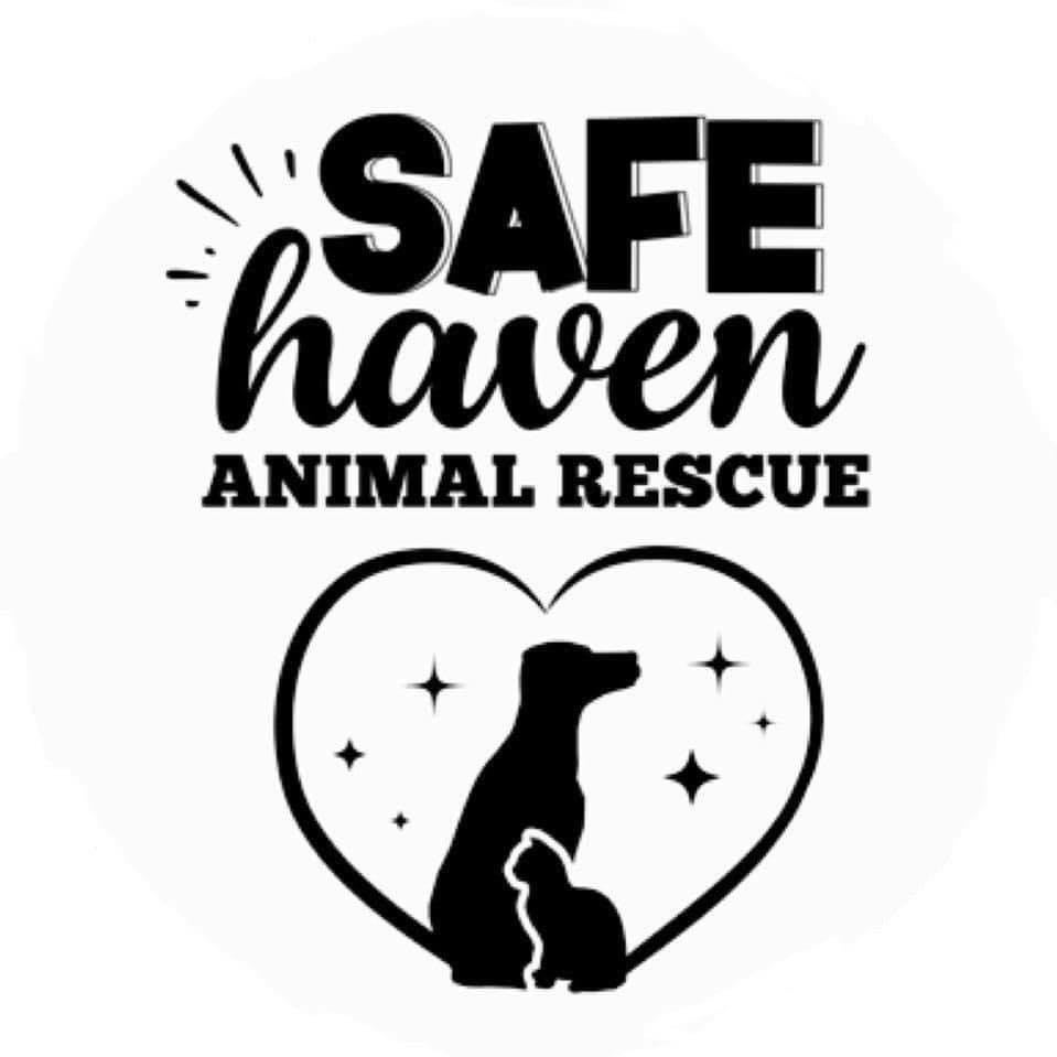 safe-haven-animal-rescue-oklahoma-city-oklahoma